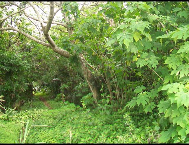 1,682M² VACANT LAND FOR SALE IN PALM BEACH